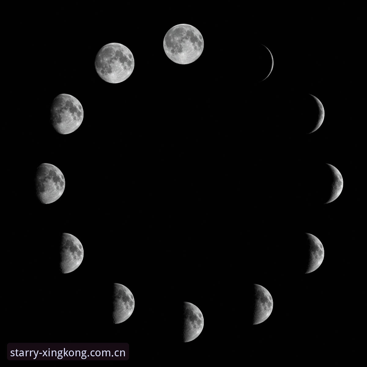 揭秘星空竞猜下载背后的真相：一个实战派用户的操作全记录