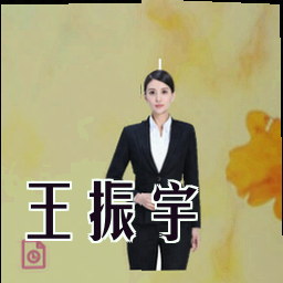 王振宇
